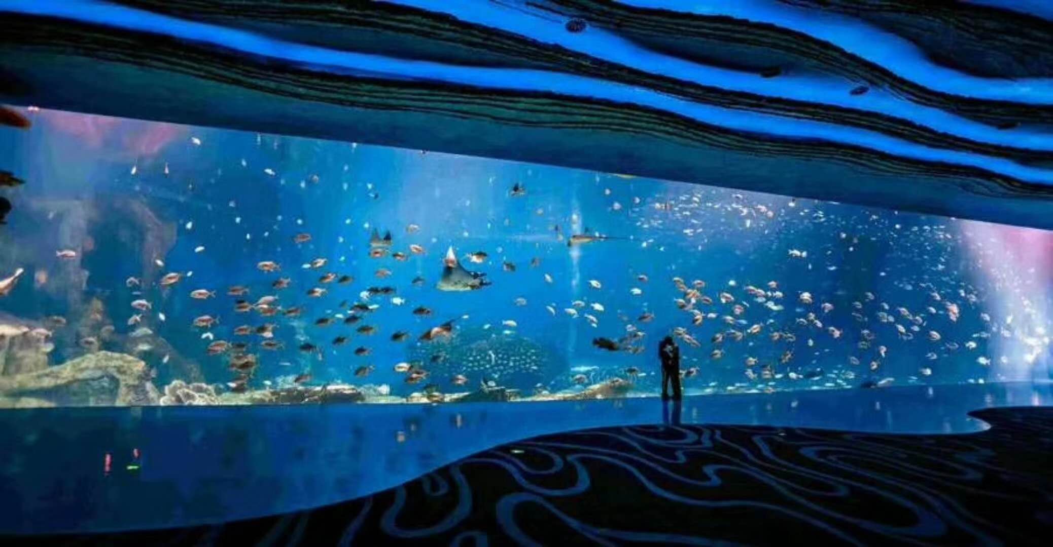 海洋館水族館生物養殖用水臭氧殺菌，滅藻