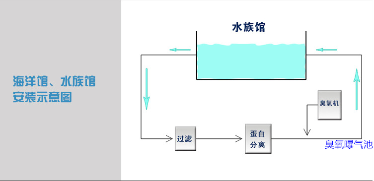海洋館過(guò)濾，蛋分，臭氧，曝氣池.png